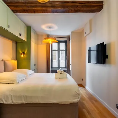 Apartament Le Carrousel De Leopold - Proche Place Carnot Nancy