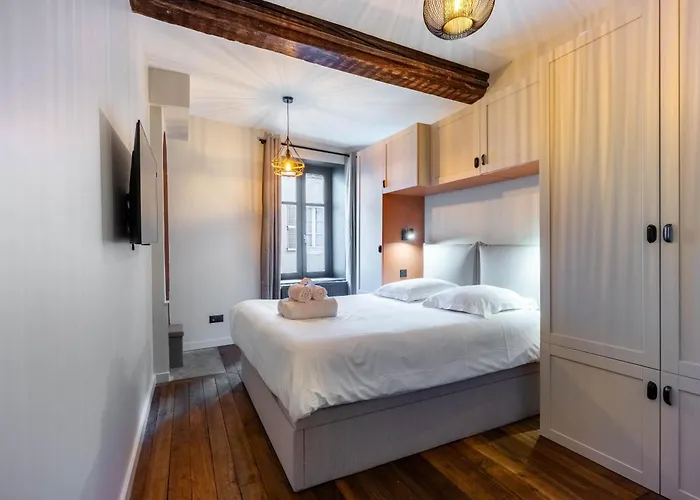 Le Carrousel De Leopold - Proche Place Carnot Nancy